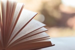 Dirk Jansen mit seinem Buch zu Gast am Royal Netherlands Institute in